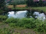 Bán đất đầu tư, nghỉ dưỡng Ngô Tất Tố, Lộc Châu, Bảo Lộc 