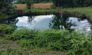 Bán đất đầu tư, nghỉ dưỡng Ngô Tất Tố, Lộc Châu, Bảo Lộc 