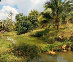 BÁN ĐẤT LÂM ĐỒNG 12