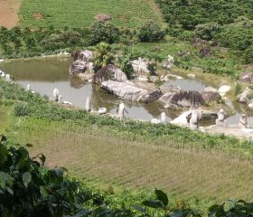Bán đất nghỉ dường bla